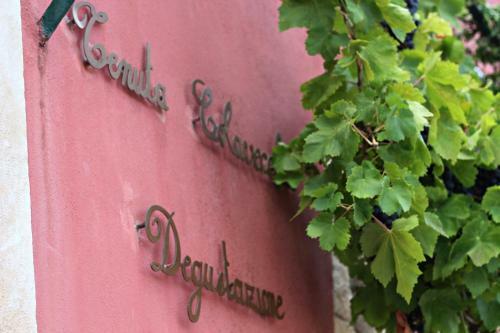 Hostal Tenuta Colavecchio B&B
