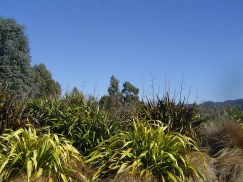 Hokonui Bed &amp; Breakfast