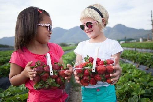 Agroturismo Redberry Farm