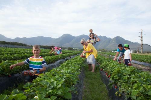 Agroturismo Redberry Farm