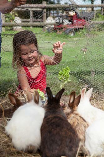 Agroturismo Redberry Farm