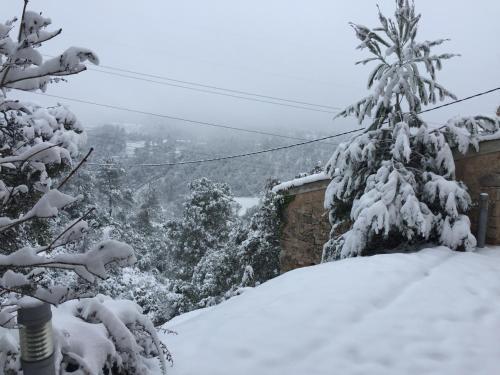 Agroturismo Castell D�orp�