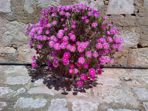 Agroturismo Case Di Cutalia