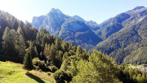 Hostal Casa Alpina