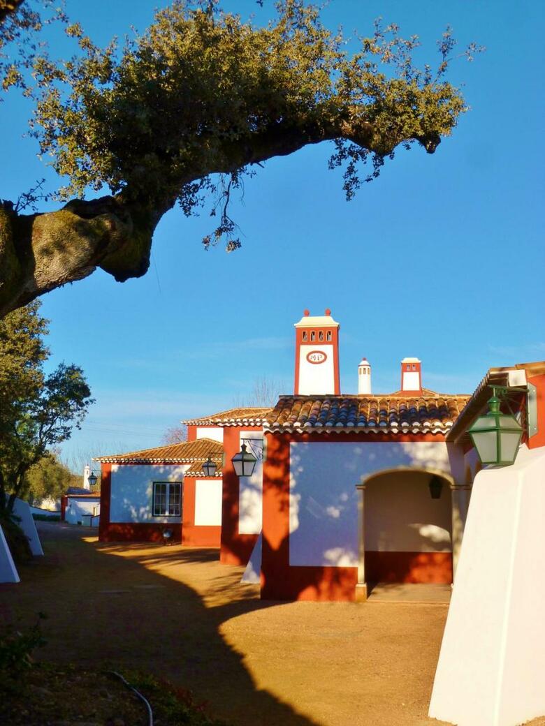 Hotel Monte Da Proven�a
