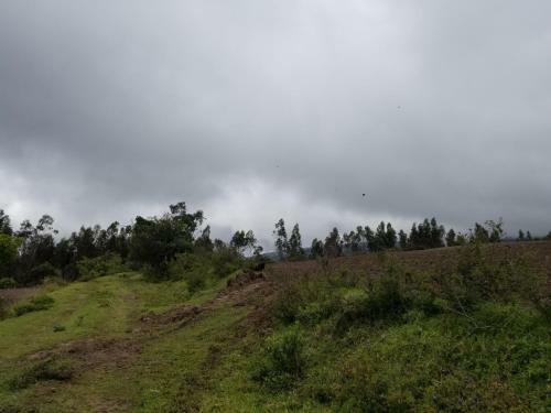 Posada Hacienda San Isidro De Iltaqui