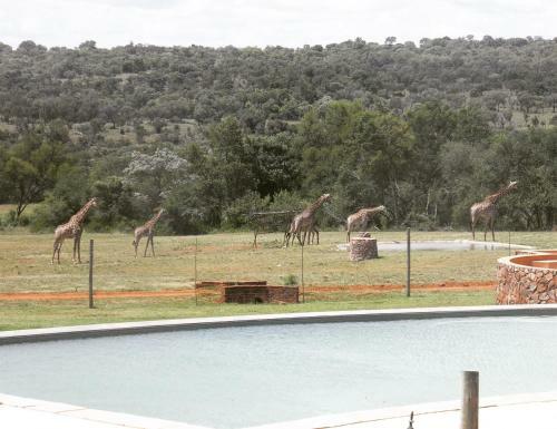 Lodge Olievenfontein Private Game Reserve