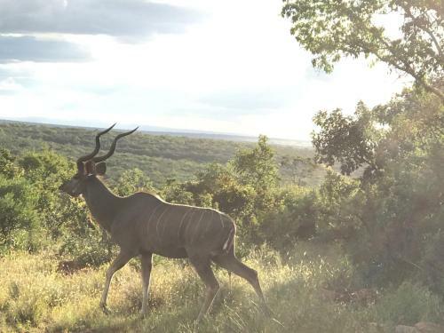Lodge Olievenfontein Private Game Reserve