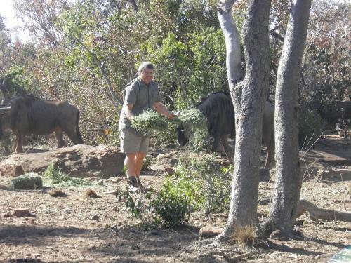 Lodge Olievenfontein Private Game Reserve