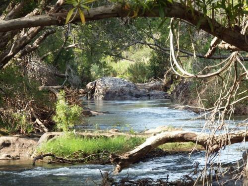 Hostal Blyde River Cabin Guesthouse