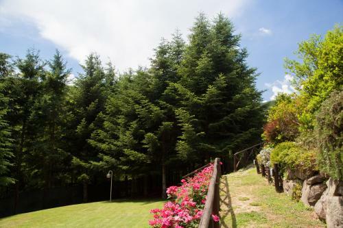 Hostal Il Borgo Dei Corsi Holiday House