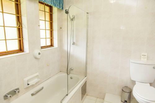 Hostal The Celtis Manor Guest House