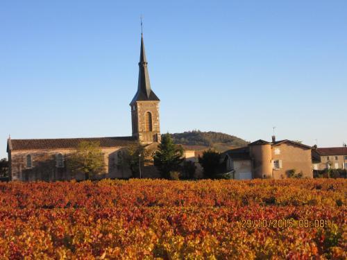Domaine Du Barvy