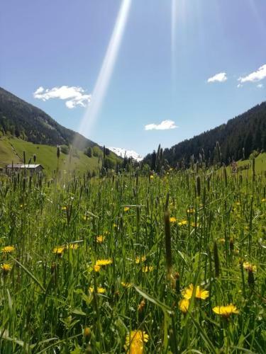 Apartamento Appartamento Stella Alpina