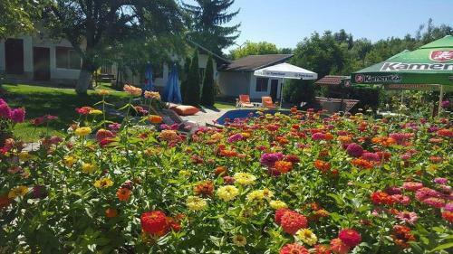 Hotel Nigovanka