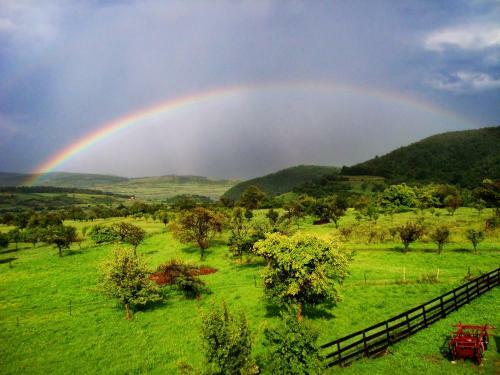 Hostal Pensiunea Printul Vlad