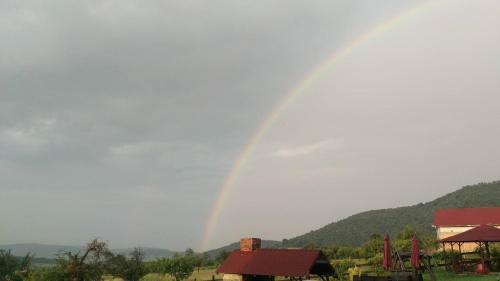 Hostal Pensiunea Printul Vlad