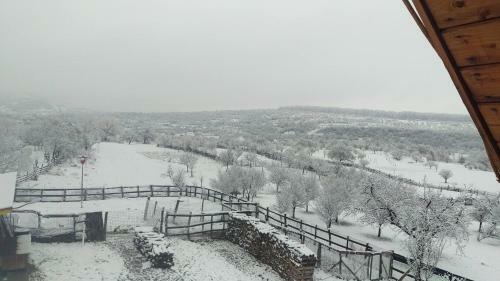 Hostal Pensiunea Printul Vlad