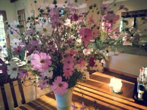 Bed & Breakfast Midrand Wild Goose Guest House