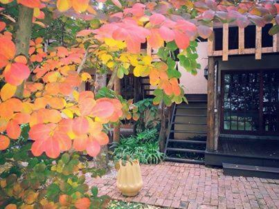 Bed & Breakfast Midrand Wild Goose Guest House