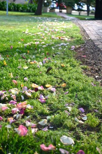 Bed & Breakfast Midrand Wild Goose Guest House