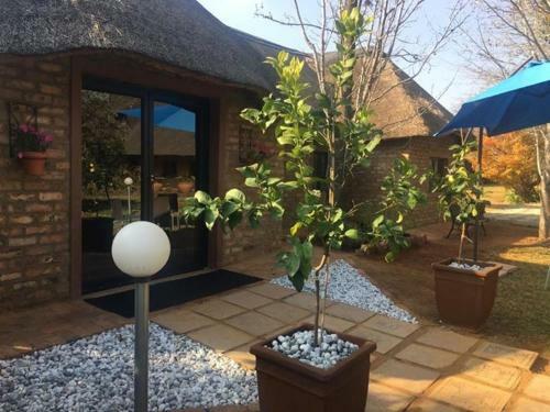 Bed & Breakfast Midrand Wild Goose Guest House
