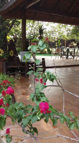 Bed & Breakfast Midrand Wild Goose Guest House