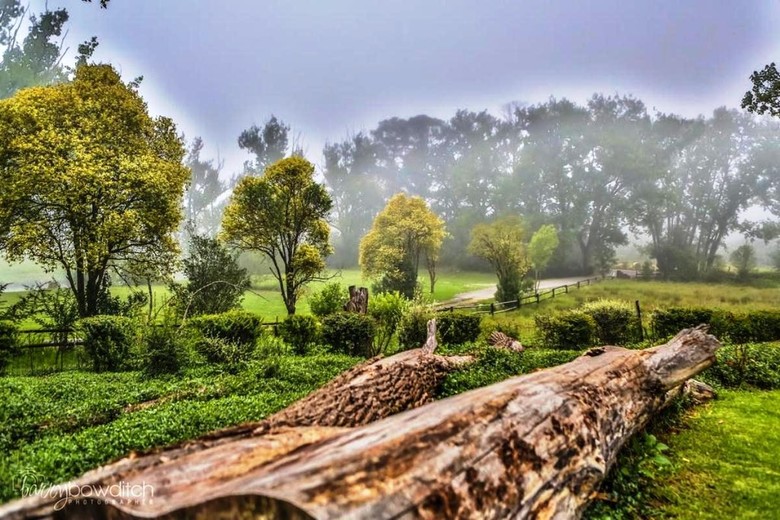Umzimkulu River Lodge