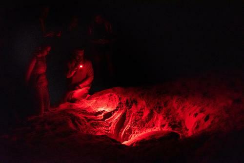 Hotel Ras Al Jinz Turtle Reserve