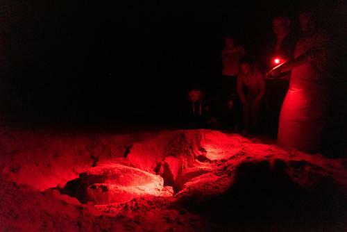 Hotel Ras Al Jinz Turtle Reserve