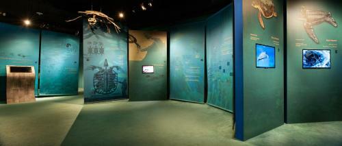 Hotel Ras Al Jinz Turtle Reserve