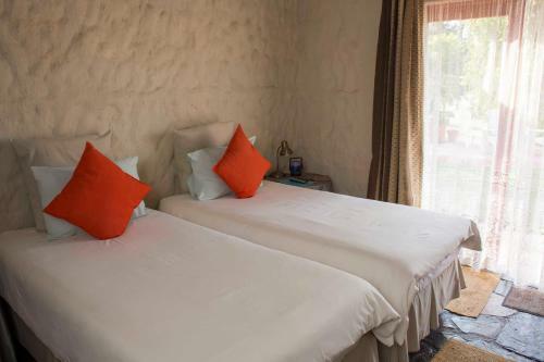 Hostal By Bush Telegraph Lodge