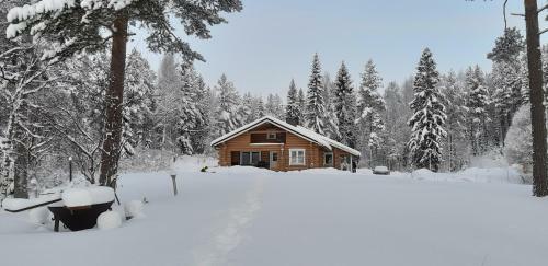 Holiday Homes Majoinen