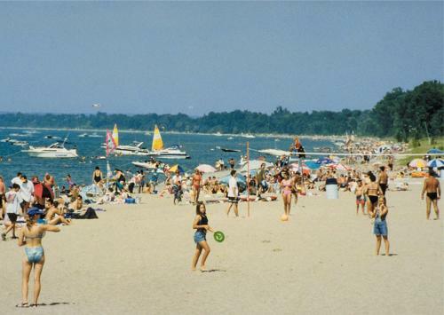 Hotel Oakwood Resort