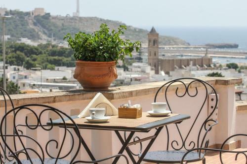 Hostal Il Pappagallo