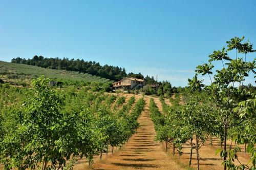 Agroturismo Agriturismo Belsito Pian Di Boccio