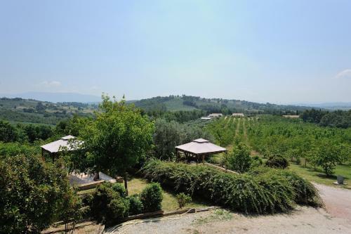 Agroturismo Agriturismo Belsito Pian Di Boccio