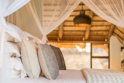 Royal Madikwe Luxury Safari Lodge