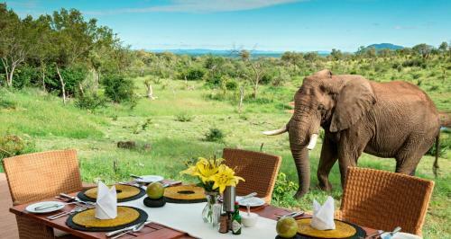 Royal Madikwe Luxury Safari Lodge