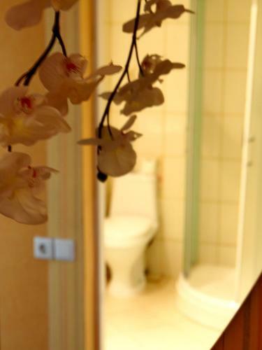 Hotel ?iaur?s Vartai