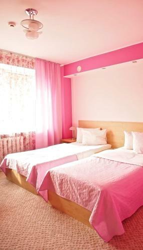 Hotel ?iaur?s Vartai