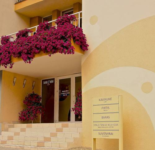 Hotel ?iaur?s Vartai