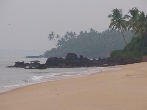 Ocean Green Kerala
