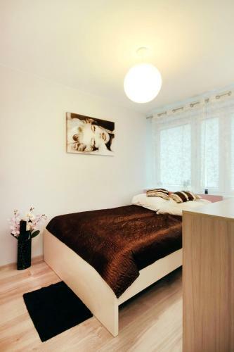 Bt Apartament Odzie?owa