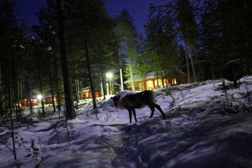 Hotel Ukonj�rven Holiday Village
