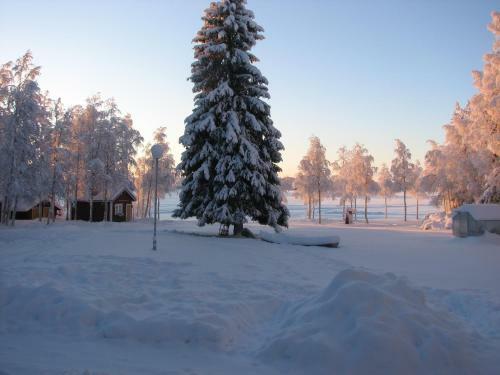 Uitonpuisto Holiday Home