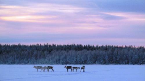 Uitonpuisto Holiday Home