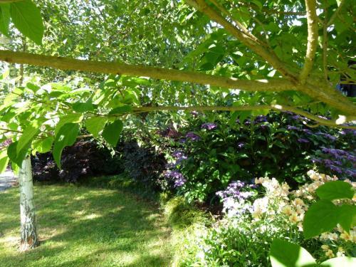 Bed & Breakfast Hadleigh Boutique Lodge