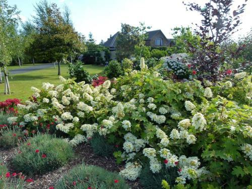 Bed & Breakfast Hadleigh Boutique Lodge
