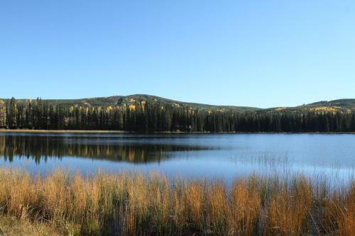 Hotel Lac Le Jeune Resort & Nature Centre